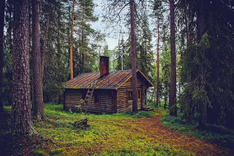 image of an old log cabin nestled among redwood tree's